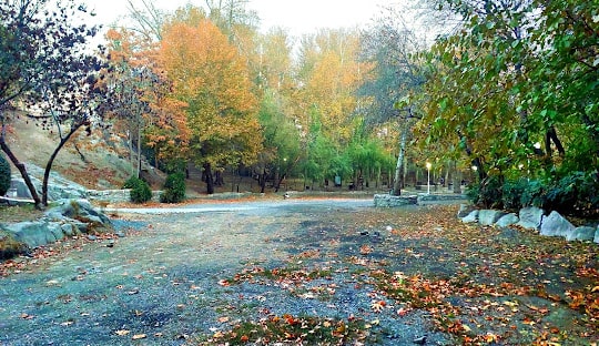 پارک جتگلی وکیل آباد