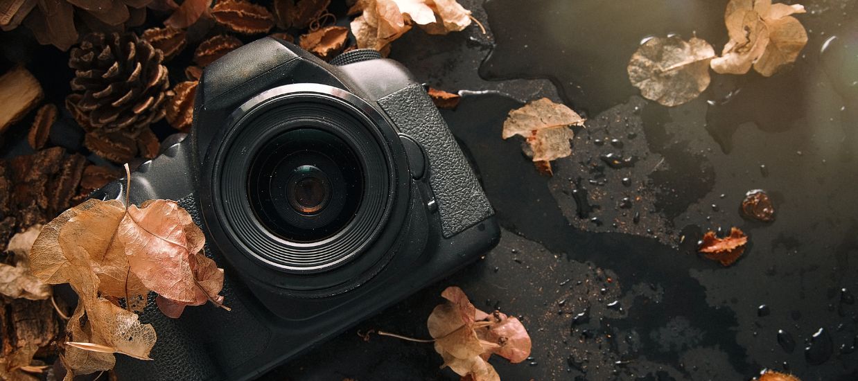 عکاسی در طبیعت